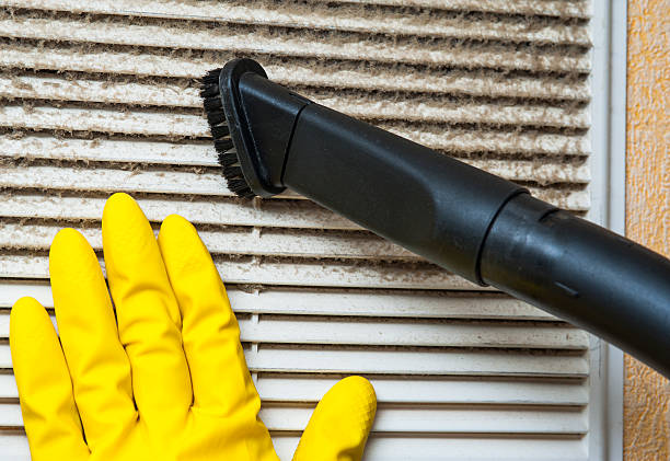 Best Affordable HVAC Duct Cleaning  in St Louis, MI